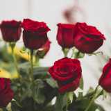 �Ma i significati dei fiori sono tanti � conclude Gaetano �: oltre alla classica rosa rossa che si scambia tra innamorati...